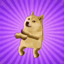 Dancing doge